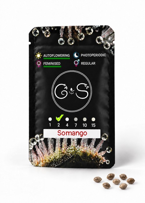 Семена марихуаны  Auto Somango feminised Ganja Seeds