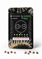 Amsterdam Flame regular Ganja Seeds