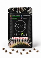 Auto Think Different feminised Ganja Seeds