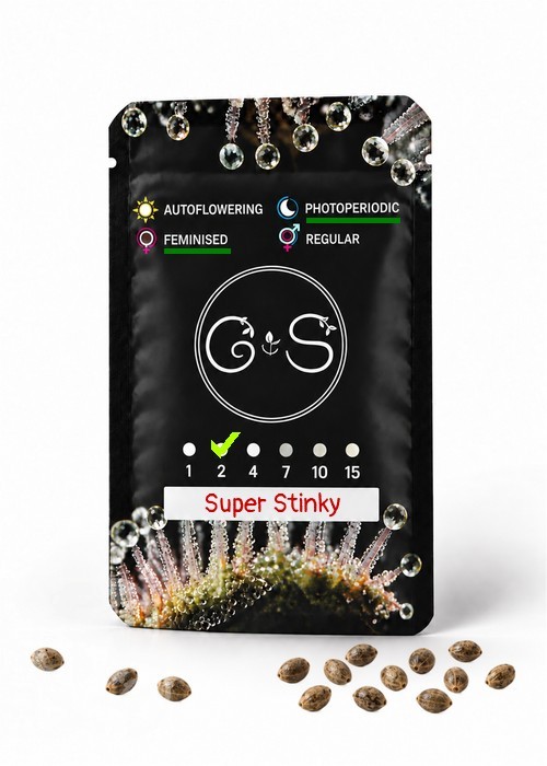 Семена  Super Stinky feminised Ganja Seeds