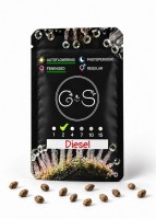 Auto Diesel feminised Ganja Seeds