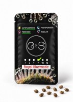 Auto Royal Bluematic feminised Ganja Seeds