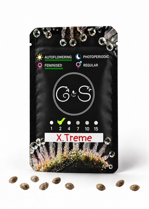 Семена конопли  Auto X.Treme feminised Ganja Seeds
