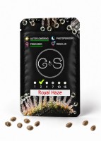 Auto Royal Haze feminised Ganja Seeds