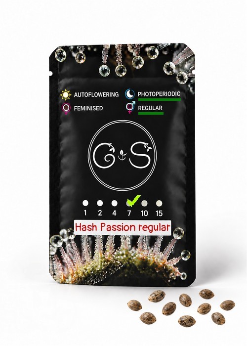 Семена конопли  Hash Passion regular Ganja Seeds