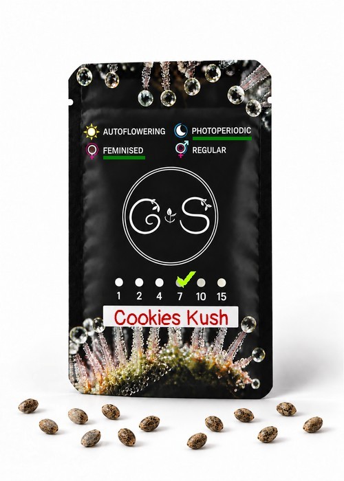 Семена марихуаны  Cookies Kush feminised Ganja Seeds