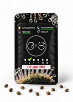 Chupacabra feminised Ganja Seeds