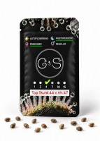 Top Skunk 44 x AK 47 feminised Ganja Seeds