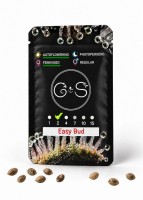 Auto Easy Bud feminised Ganja Seeds