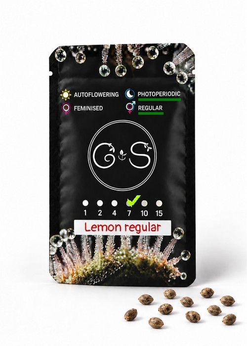 Семена каннабиса  Lemon regular Ganja Seeds