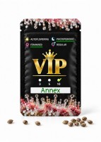 Annex feminised GanjaVIP Seeds