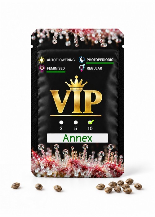 Семена ганжа  Annex feminised GanjaVIP Seeds