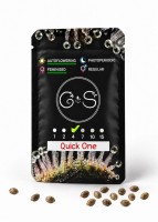 Auto Quick One feminised Ganja Seeds
