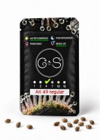 Auto AK 49 regular Ganja Seeds