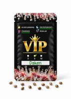 Daken feminised GanjaVIP Seeds