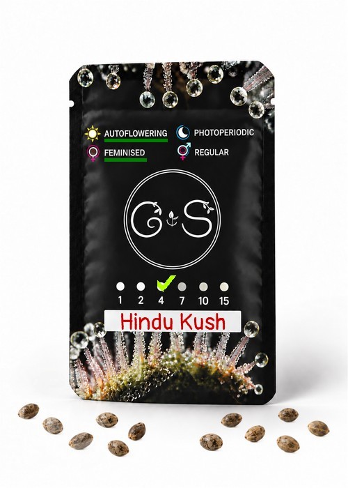 Семена  Auto Hindu Kush feminised Ganja Seeds