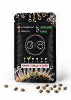 Anesthesia regular Ganja Seeds