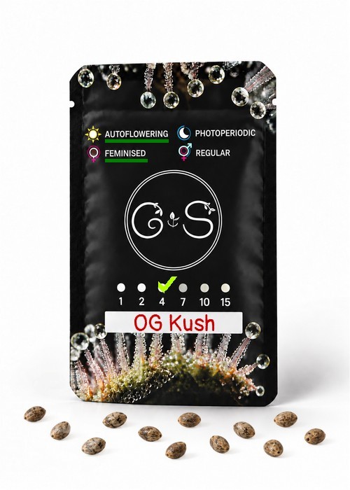 Семена  Auto OG Kush feminised Ganja Seeds