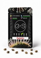 Gelato feminised Ganja Seeds