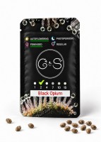 Auto Black Opium feminised Ganja Seeds