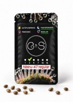 Nibiru-47 regular Ganja Seeds
