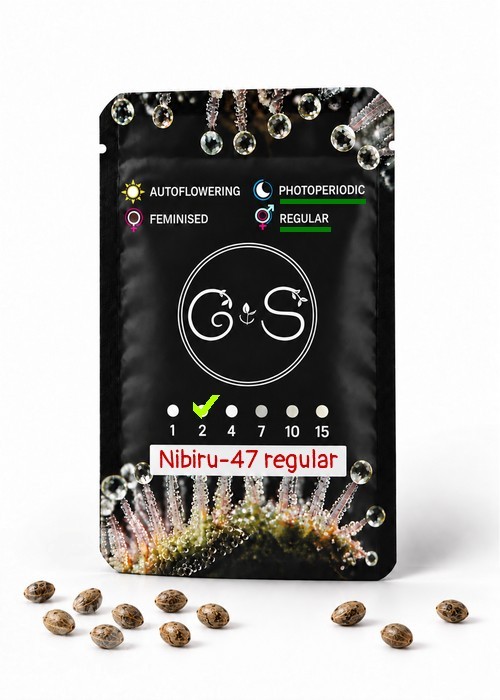 Семена  Nibiru-47 regular Ganja Seeds