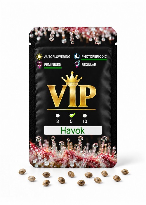 Семена конопли  Havok feminised GanjaVIP Seeds
