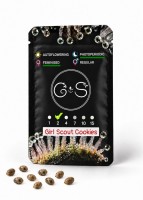 Girl Scout Cookies feminised Ganja Seeds