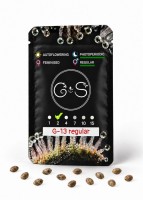 G-13 regular Ganja Seeds