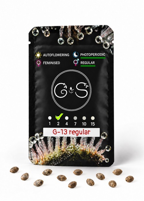 Семена  G-13 regular Ganja Seeds
