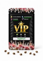 Hyperion feminised GanjaVIP Seeds