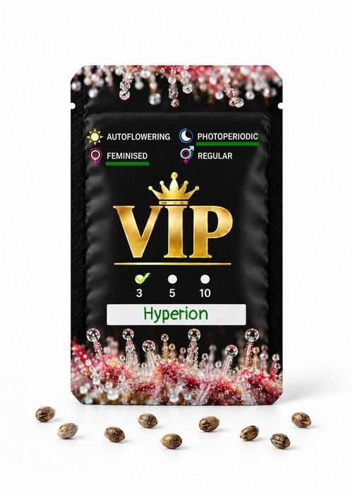 Семена конопли  Hyperion feminised GanjaVIP Seeds