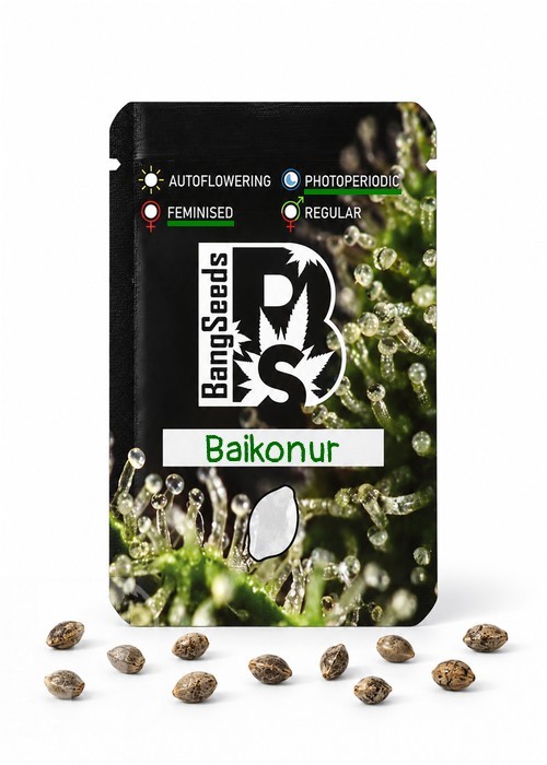 Семена  Baikonur feminised Bang Seeds