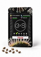 Haze feminised Ganja Seeds