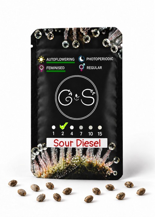 Семена конопли  Auto Sour Diesel feminised Ganja Seeds