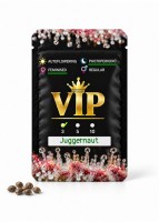 Juggernaut feminised GanjaVIP Seeds