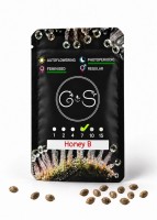 Honey B feminised Ganja Seeds
