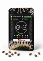 Nibiru feminised Ganja Seeds