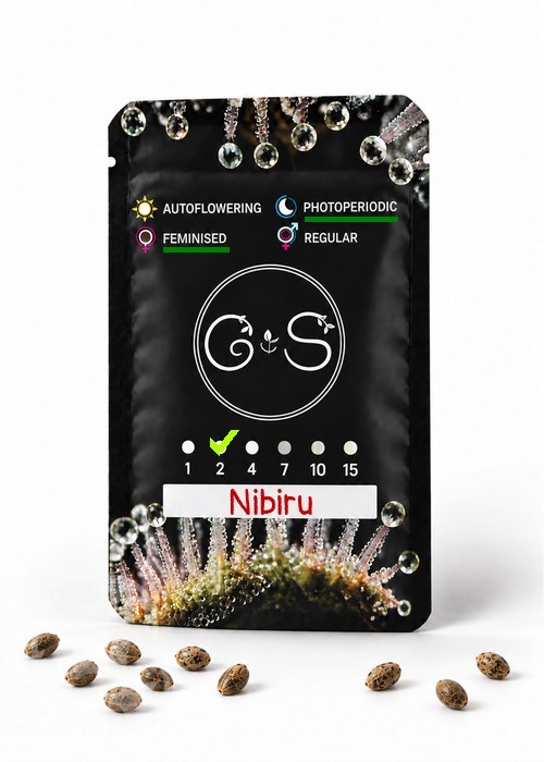 Семена  Nibiru feminised Ganja Seeds