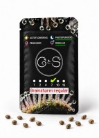 Brainstorm regular Ganja Seeds