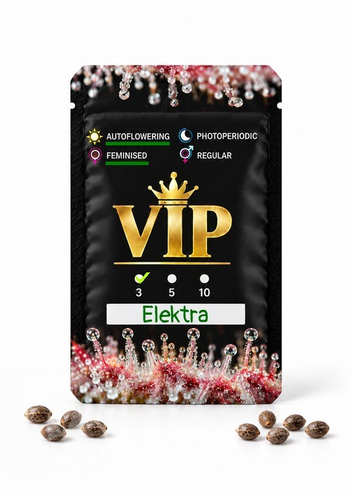 Семена конопли  Auto Elektra feminised GanjaVIP Seeds