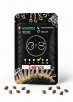 Auto Deimos feminised Ganja Seeds