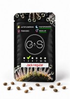 Jack regular Ganja Seeds