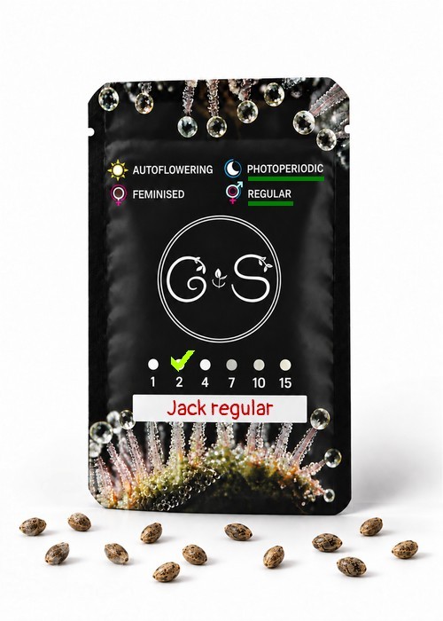 Семена марихуаны  Jack regular Ganja Seeds