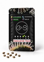 Auto Dedoverde Haze feminised Ganja Seeds