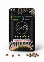 Auto Tropicana Cookies feminised Ganja Seeds