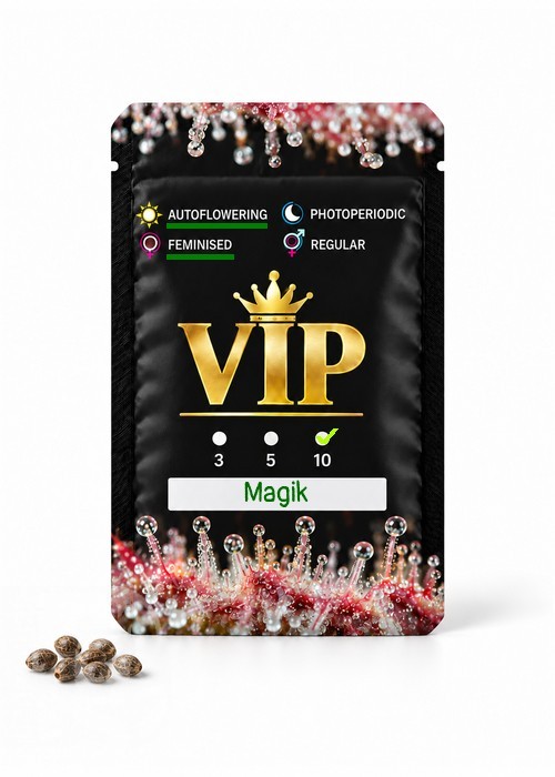 Семена марихуаны  Auto Magik feminised GanjaVIP Seeds