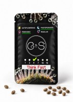 Think Fast feminised Ganja Seeds