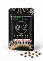 Auto Durban Poison feminised Ganja Seeds