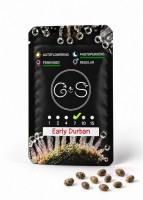 Early Durban feminised Ganja Seeds